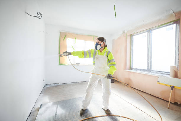 Best Ceiling Drywall Installation  in Thoreau, NM